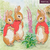 Crystal Art Card Kit The Flopsy Bunnies 18 x 18 cm