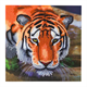 Crystal Art Card Kit "Tiger" 18 x 18 cm