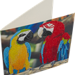 Crystal Art Card Parrot Friends 18 x 18 cm | Bild 2
