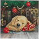 Crystal Art Card Sleepy Puppy 18 x 18 cm