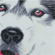 Crystal Art Cushion Kit - Alaskan Malamute Face 30 x 30 cm | Bild 2