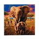 Crystal Art Elephanten in der Savanne, mit Rahmen 30 x 30 cm
