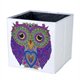 Crystal Art Folding Storage Box 30 x 30 cm - Owl
