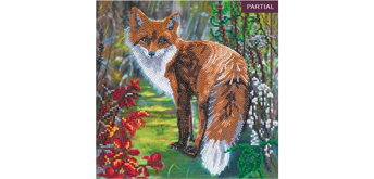 Crystal Art Kit Autumn Fox 30 x 30 cm, mit Rahmen