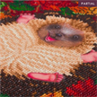 Crystal Art Kit "Autumn Hedgehog" 30 x 30 cm, mit Rahmen | Bild 3