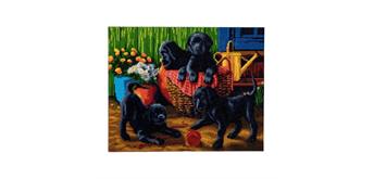 Crystal Art Kit "Black Labrador Pups" 40 x 50 cm