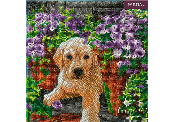 Crystal Art Kit "Floral Pup" 30 x 30 cm, mit Rahmen