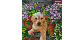 Crystal Art Kit "Floral Pup" 30 x 30 cm, mit Rahmen