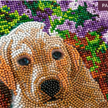 Crystal Art Kit "Floral Pup" 30 x 30 cm, mit Rahmen | Bild 3