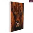 Crystal Art Kit "Highland Cow" 30 x 30 cm, mit Rahmen | Bild 3