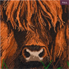 Crystal Art Kit "Highland Cow" 30 x 30 cm, mit Rahmen