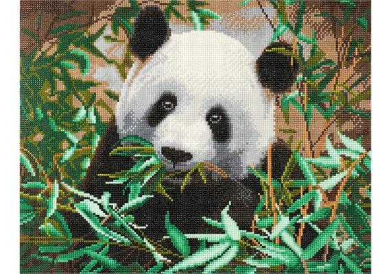 Crystal Art Kit "Hungriger Panda" 40 x 50 cm, mit Rahmen