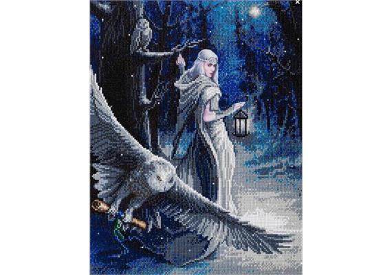 Crystal Art Kit "Midnight Messenger" 40 x 50 cm, mit Rahmen
