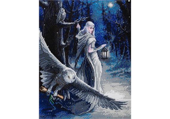 Crystal Art Kit "Midnight Messenger" 40 x 50 cm, mit Rahmen