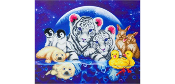 Crystal Art Kit "Moonlight Fantasy" 40 x 50 cm, mit Rahmen