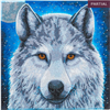 Crystal Art Kit Moonlight Wolf 30 x 30 cm, mit Rahmen