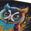 Crystal Art Kit Owl 30 x 30 cm | Bild 3
