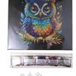 Crystal Art Kit Owl 30 x 30 cm | Bild 4