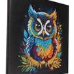 Crystal Art Kit Owl 30 x 30 cm | Bild 2
