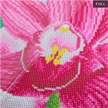 Crystal Art Kit 'Petals in Pink' 40 x 50 cm, mit Rahmen | Bild 2