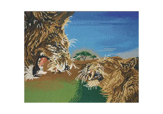 Crystal Art Kit Raging Lions 40 x 50 cm, mit Rahmen