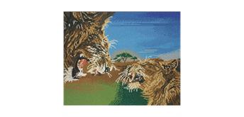 Crystal Art Kit Raging Lions 40 x 50 cm, mit Rahmen