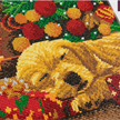 Crystal Art Kit Sleeping Labrador Pup 30 x 30 cm, mit Rahmen | Bild 4
