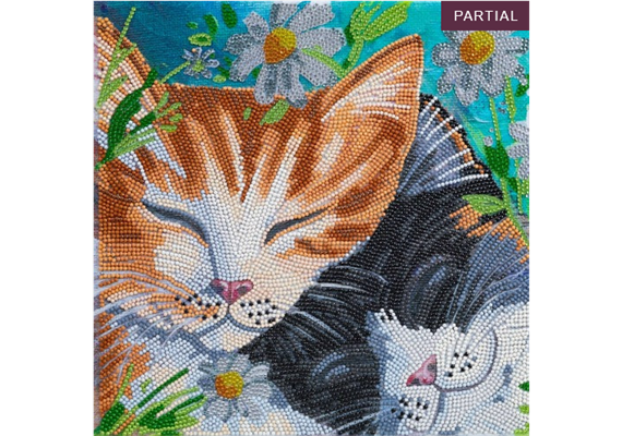 Crystal Art Kit Sleepy Cats 30 x 30 cm, mit Rahmen