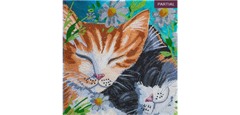 Crystal Art Kit Sleepy Cats 30 x 30 cm, mit Rahmen