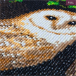 Crystal Art Kit "Snowy Owl" 30 x 30 cm, mit Rahmen | Bild 3