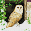 Crystal Art Kit "Snowy Owl" 30 x 30 cm, mit Rahmen | Bild 4
