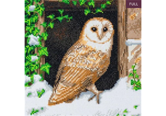 Crystal Art Kit "Snowy Owl" 30 x 30 cm, mit Rahmen