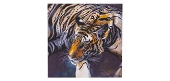 Crystal Art Kit "The Tiger" 70 x 70 cm, mit Rahmen