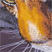 Crystal Art Kit "The Tiger" 70 x 70 cm, mit Rahmen | Bild 3