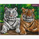 Crystal Art Kit "Tigers" 40 x 50 cm, mit Rahmen