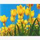 Crystal Art Kit "Tulips" 40 x 50 cm, mit Rahmen