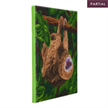 Crystal Art Kit "Two Toed Sloth" 30 x 30 cm, mit Rahmen | Bild 3