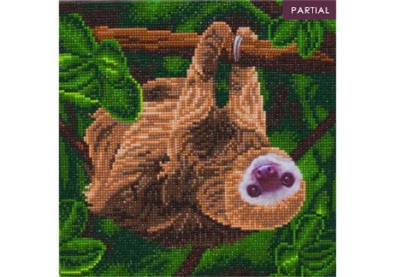 Crystal Art Kit "Two Toed Sloth" 30 x 30 cm, mit Rahmen