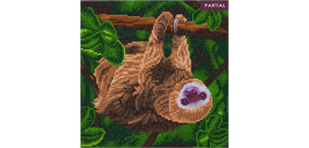 Crystal Art Kit "Two Toed Sloth" 30 x 30 cm, mit Rahmen