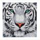 Crystal Art Kit "Weisser Tiger" 30 x 30 cm, mit Rahmen