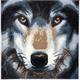 Crystal Art Kit "Wolf" 30 x 30 cm, mit Rahmen