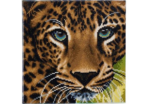 Crystal Art Leinwand Leopard 30 x 30 cm