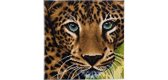 Crystal Art Leinwand Leopard 30 x 30 cm