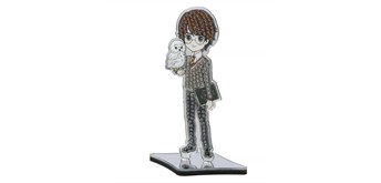 Crystal Art Mirror Buddy Harry Potter