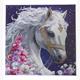 Crystal Art Mystic Beauty 30 x 30 cm mit Rahmen