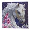 Crystal Art Mystic Beauty 30 x 30 cm mit Rahmen