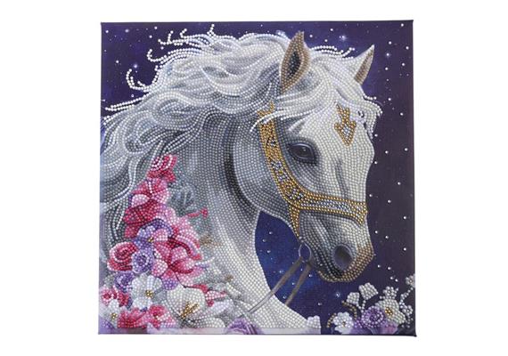 Crystal Art Mystic Beauty 30 x 30 cm mit Rahmen