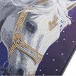 Crystal Art Mystic Beauty 30 x 30 cm mit Rahmen | Bild 2