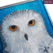 Crystal Art "Owl" Bilderrahmen 21 x 25 cm | Bild 3