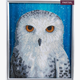 Crystal Art "Owl" Bilderrahmen 21 x 25 cm